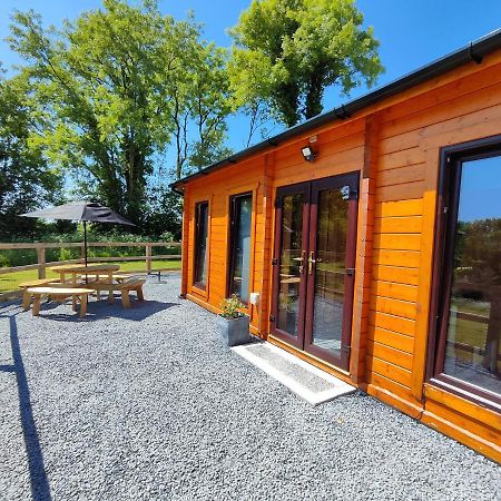 Desart School Garden Chalet Kilkenny Luaran gambar