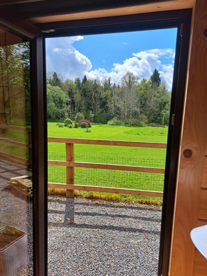 Desart School Garden Chalet Kilkenny Luaran gambar