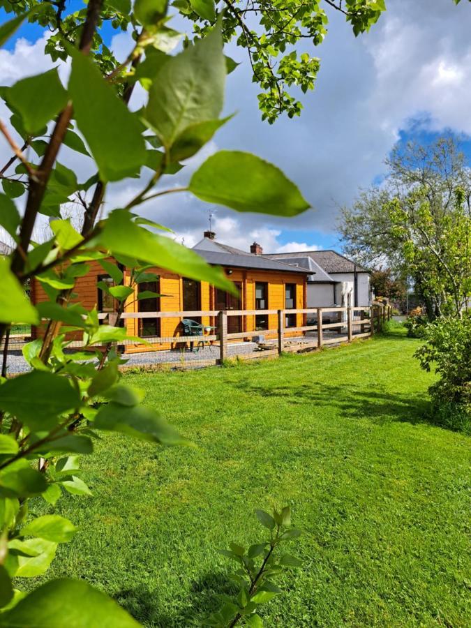 Desart School Garden Chalet Kilkenny Luaran gambar