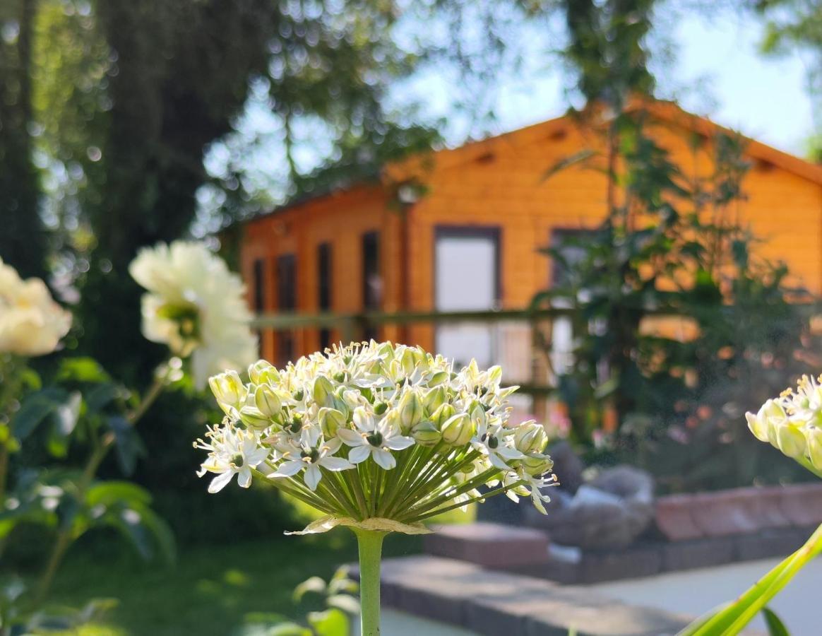 Desart School Garden Chalet Kilkenny Luaran gambar