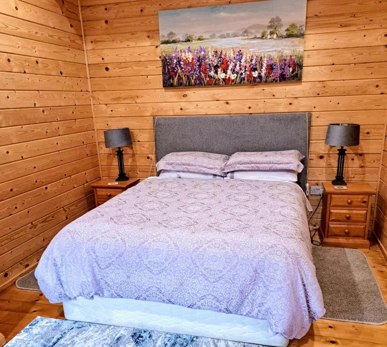 Desart School Garden Chalet Kilkenny Luaran gambar